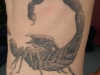 scorpion-tattoo-4f9ac8106c8c2
