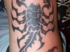 scorpion-tattoo-design-for-teenager-girls