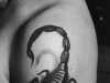 scorpiones-12