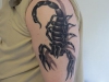 scorspid24