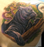 pantera