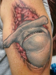 hammerhead