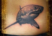 sharktattoo-16
