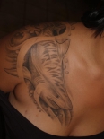 tiger-shark-tattoo-by-jarod-powell