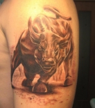 bull-600x676