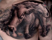 bull-g