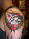 darryl_bull