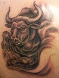 tattoo-bull