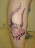 tattooz_3cd6b430