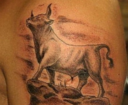 taurus0023379