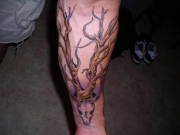082607_-_my_new_tattoo_large