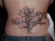 dead_tree_tattoo