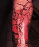 old_tree-746