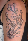 tree052