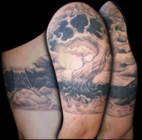 tree_cover_m
