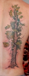 tree_tattoos_arm