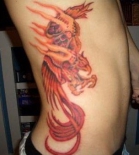 birds-raven-dove-swallow-eagle-pheseant-falcon-owl-budgie-fullbody-womens-girls-tattoos-tattoo-designs-pictures-gallery1