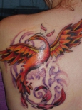 my-phoenix-tattoo-52445