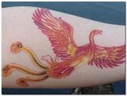 phoenix-tattoo-designs-26