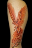 phoenix12