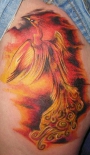 phoenix26