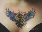 phoenix62