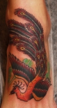rollo-543x1024
