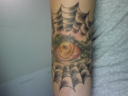 eye046