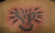 dove-tattoo-118246713413665