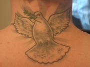 dovejpg_large