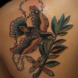 dowe-swt-350x350