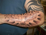 half-sleeve-dove-tattoo