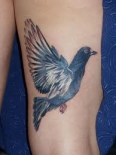 pigeon-tattoo