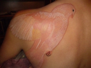 whiteink-tattoo-bits-sflashdesigns-tattoo-bits-picturesgallery-tattoo-bits-art2-gif