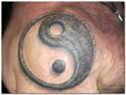 tatu-in-yan-na-pleche