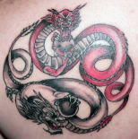 yin-yang-dragons
