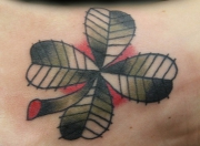 klever-v-tatu_0