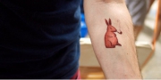 rabbit-photos-3