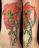 lilly002