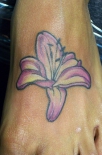lilly008