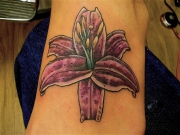 lilly012