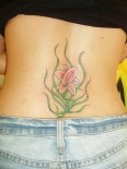 lilly025