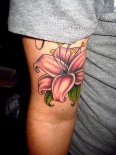 lilly027