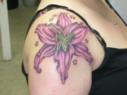 lilly034