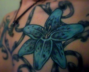 lilly036