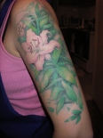 lilly040