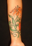 lilly049