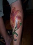 lily-tattoo-design-21362518
