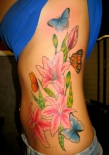 star_gazer_lilies_blue_orange_butterflies