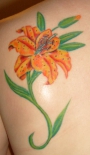 water_lilly_tattoo_63